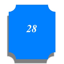 Blank 28A